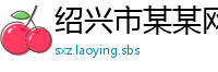 绍兴市某某网络科技厂